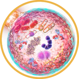 Ketty dijeta i metabolički problem